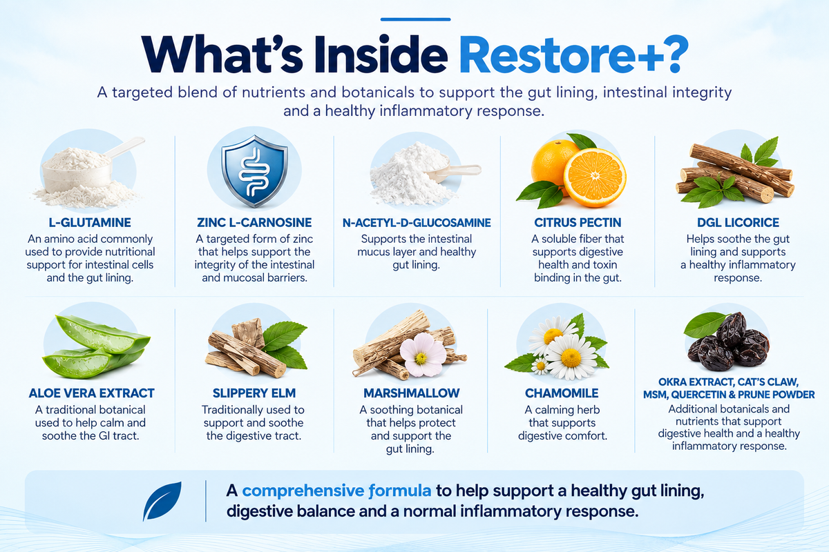 Restore+ Powder (225g)