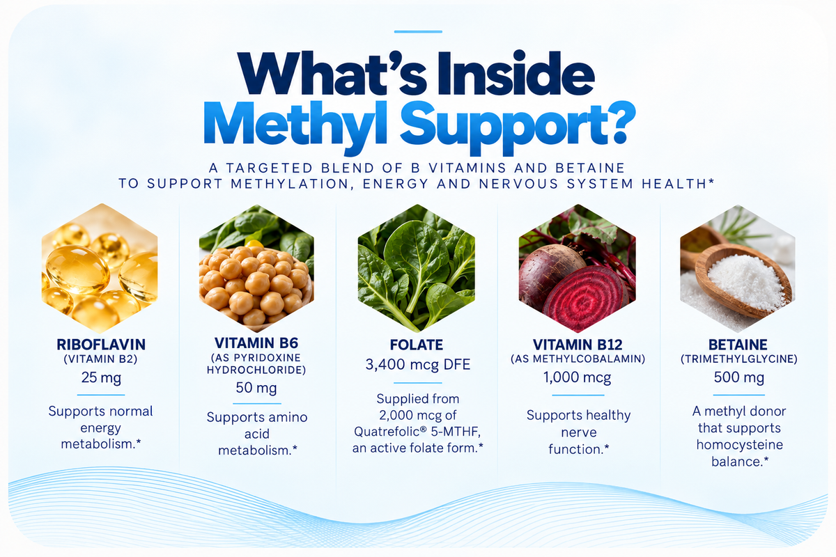 Methyl Support | Methylation & Homocysteine Support (60 Capsules)