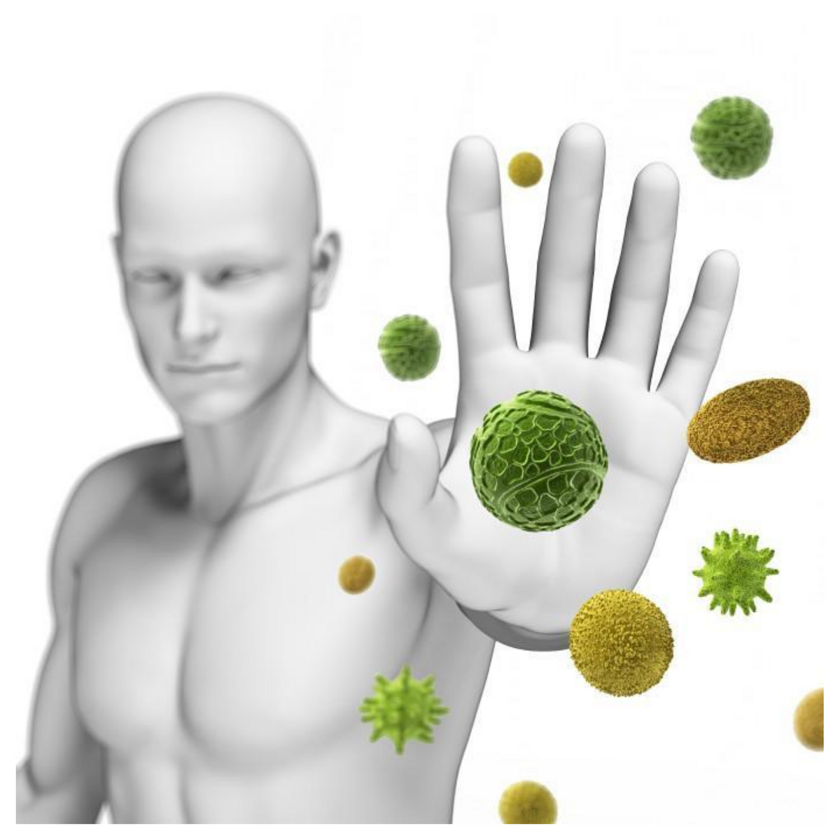 ImmunoChews (120 chewable tabs)
