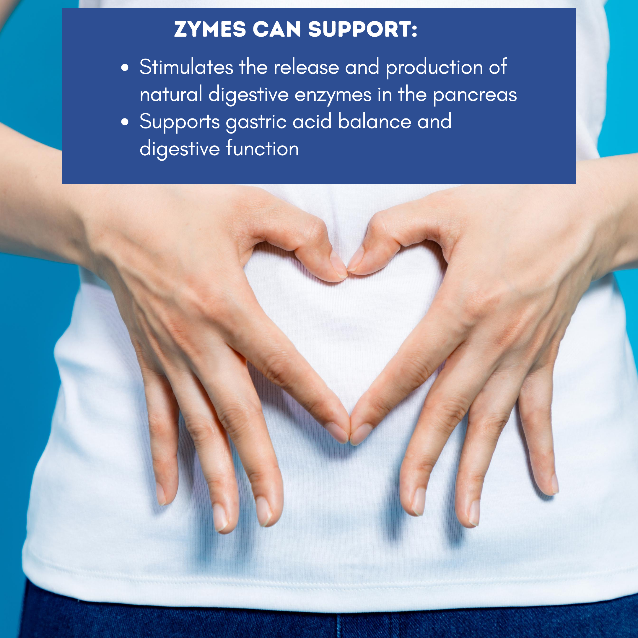 Zymes Digestive Enzymes for Bloating & Gut Health | New Formula
